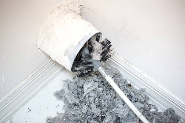 Best Ventilation Cleaning Services  in Rosedale, MD